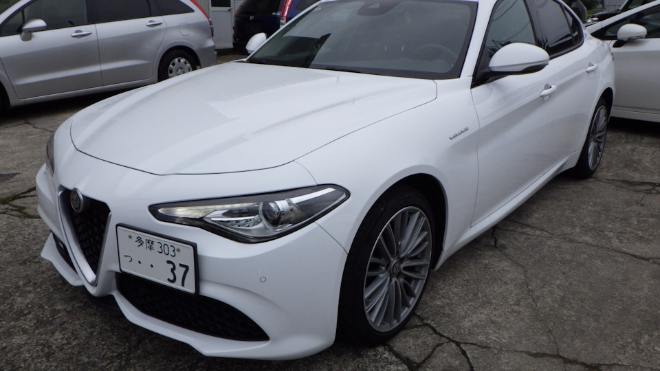 Alfa Romeo Giulia Civetta