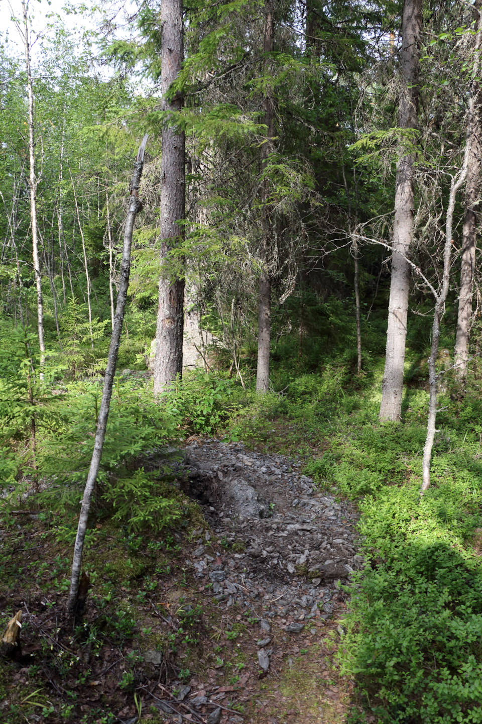 Фото в бортжурнале Mitsubishi Pajero (4G)