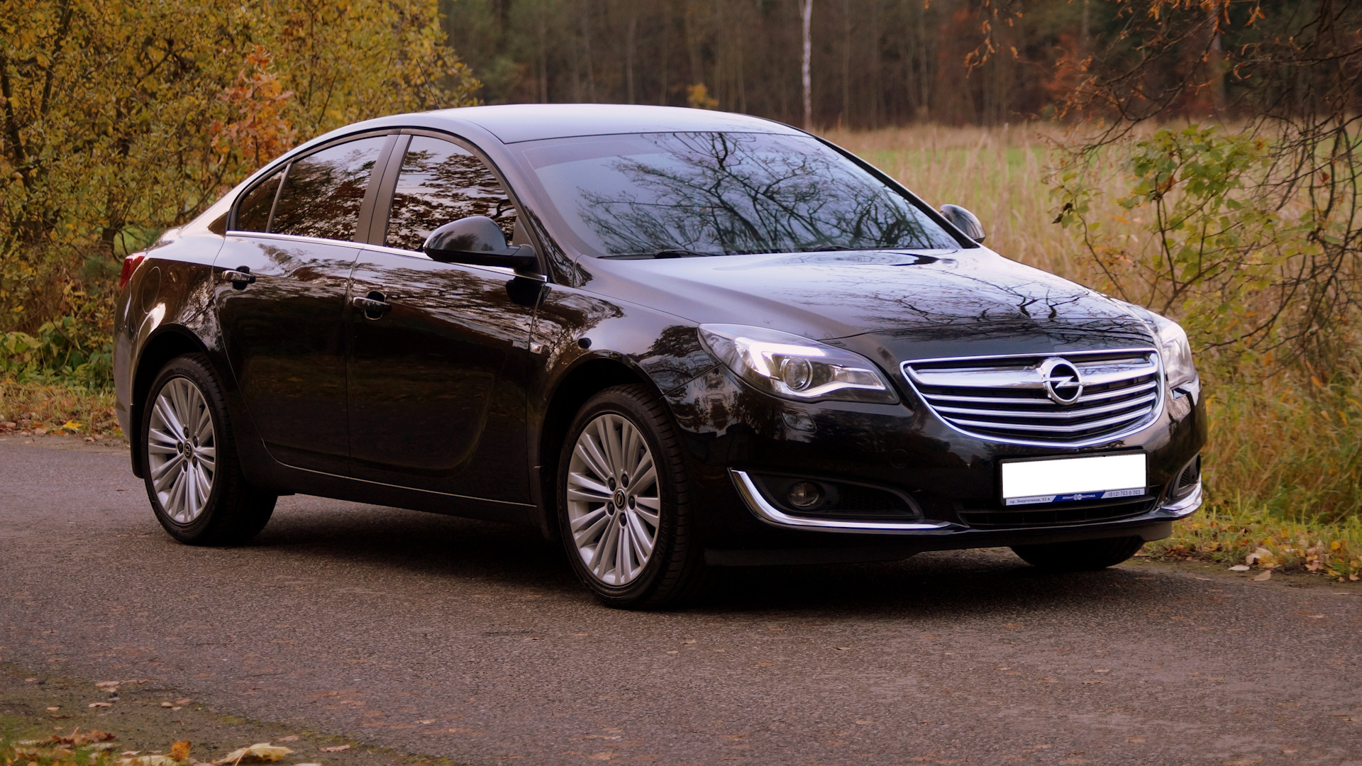 Opel Insignia 2014