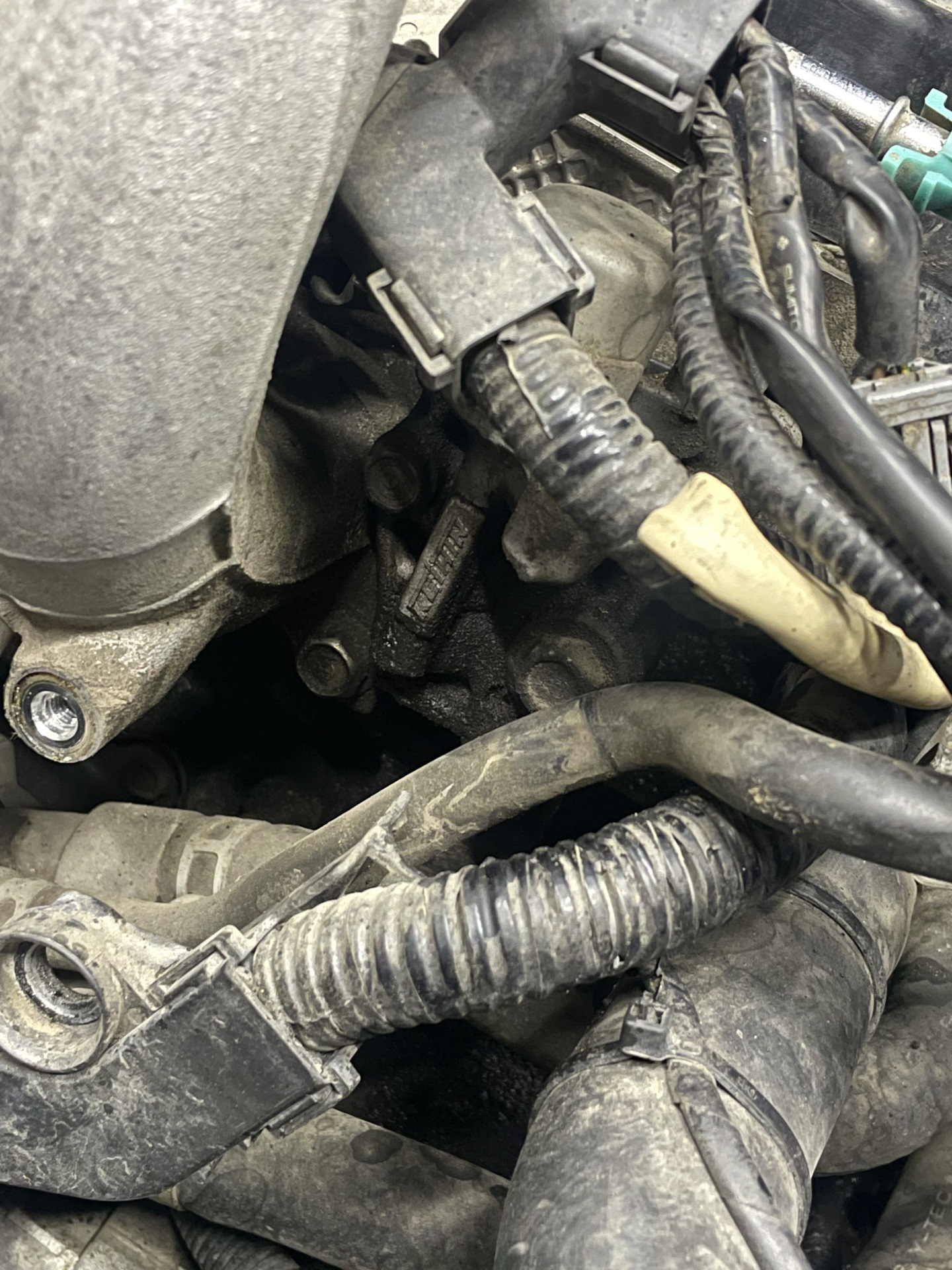 ТО + устранение течей — Honda Fit (2G), 1,5 л, 2008 года | плановое ТО ...