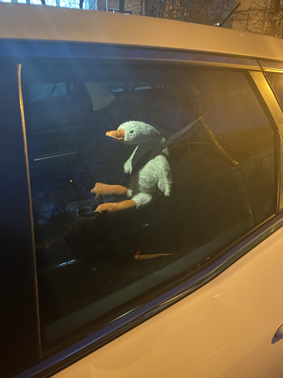 Пассажир — Mazda CX-7