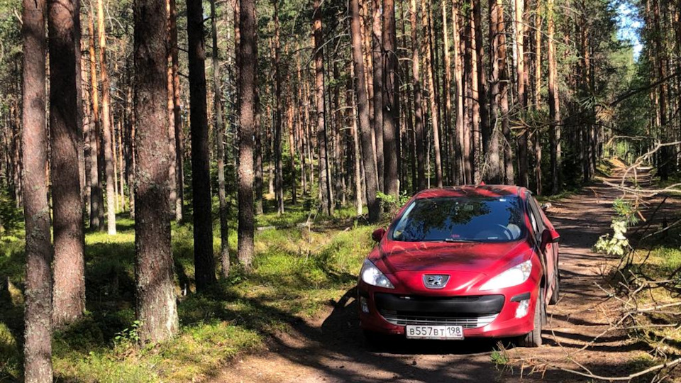 Заправка кондиционера — Peugeot 308 (1G), 1,6 л, 2009 года | визит на ...