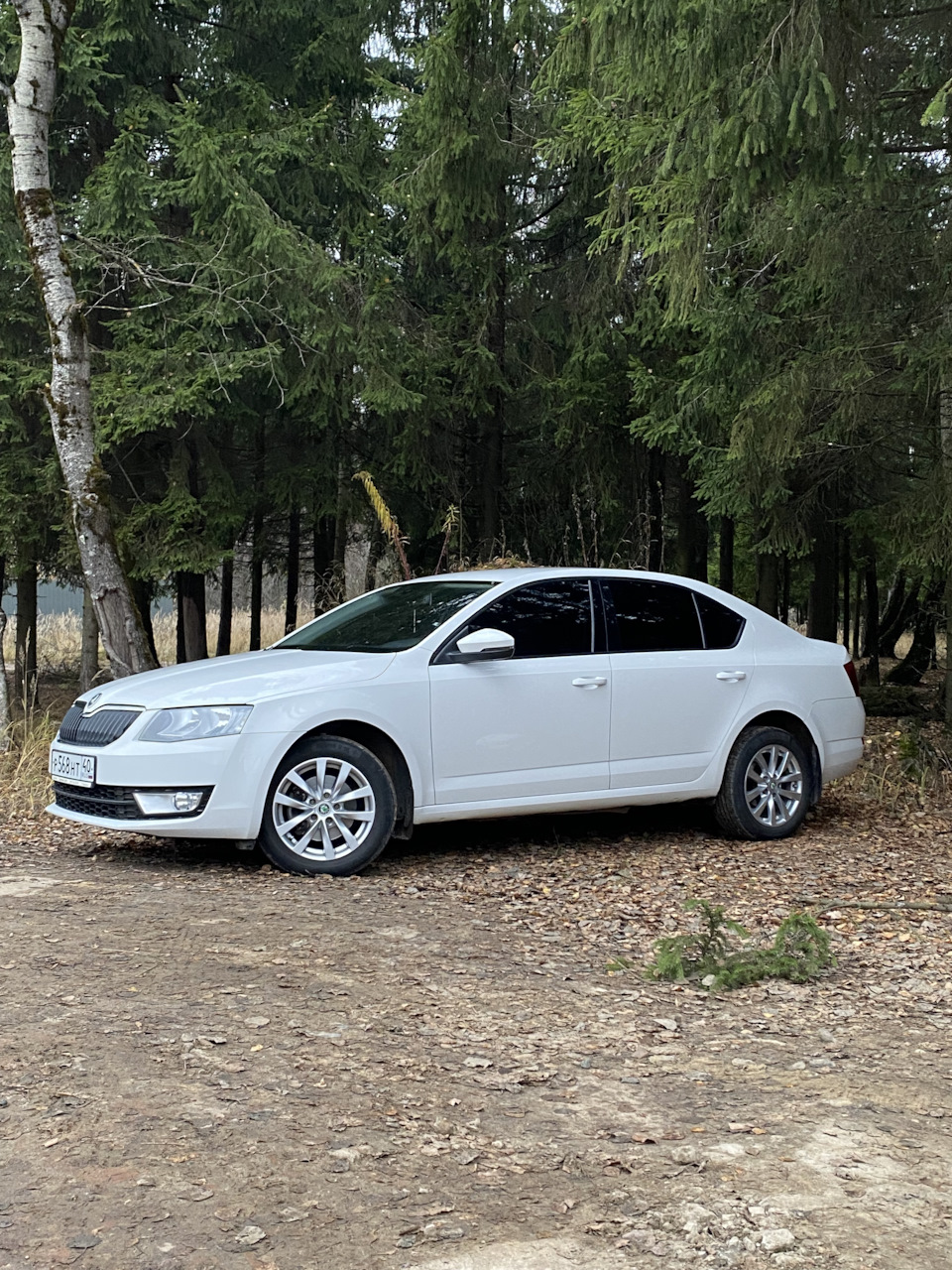 Замечание в работе авто — Skoda Octavia A7 Mk3, 1,2 л, 2013 года |  наблюдение | DRIVE2