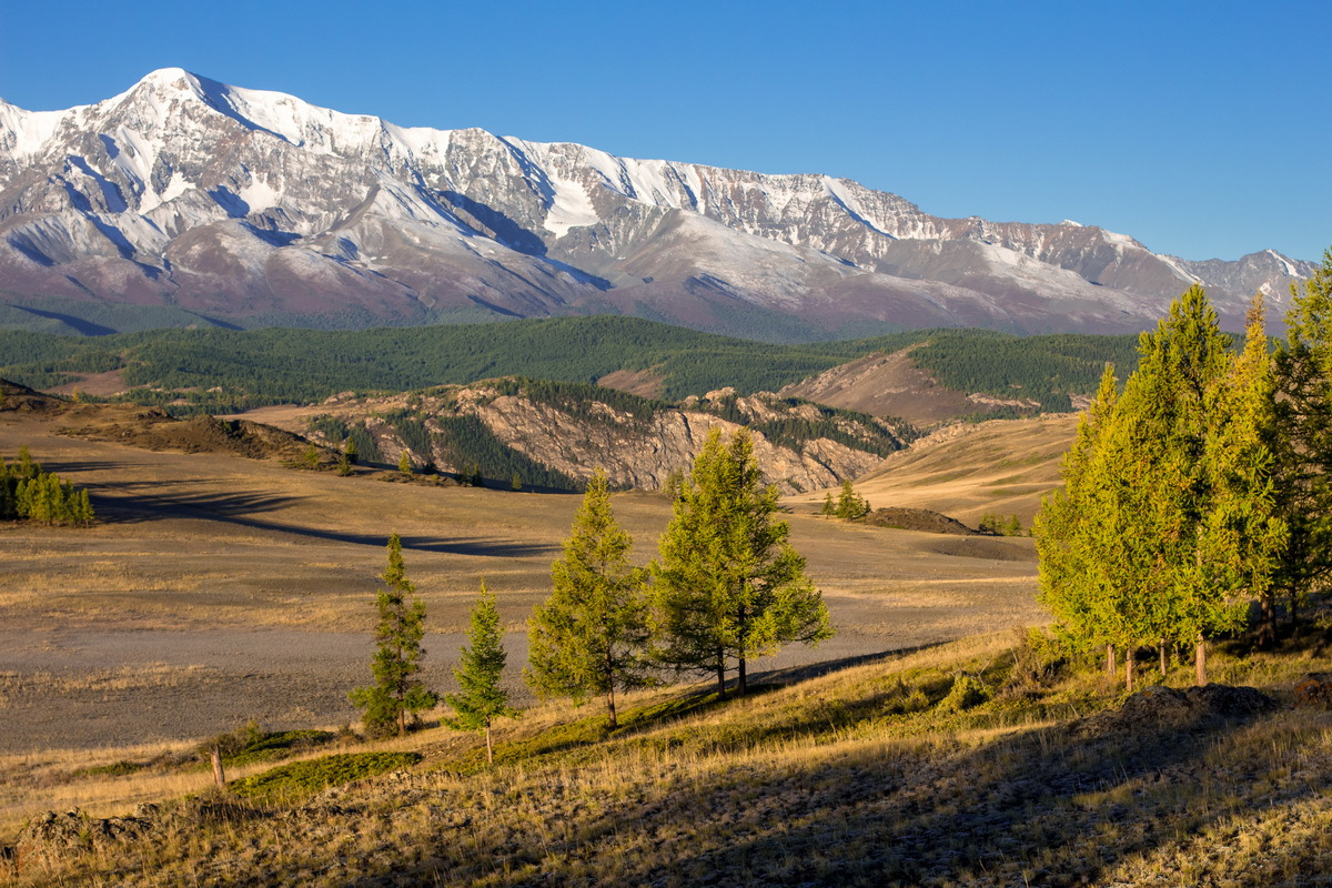 Курайская степь горный Алтай