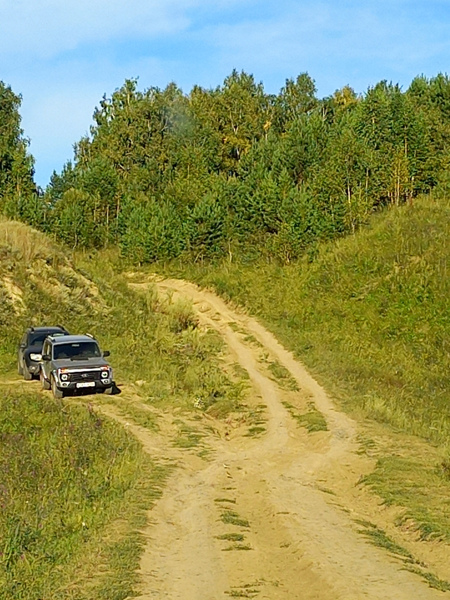 Полный привод, задние ступичные, подвеска… — Nissan X-Trail I (t30), 2 л,  2006 года | визит на сервис | DRIVE2