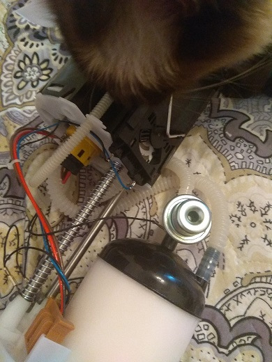 Моя котэ проверяет качество =)) — Ford S-Max (1G)