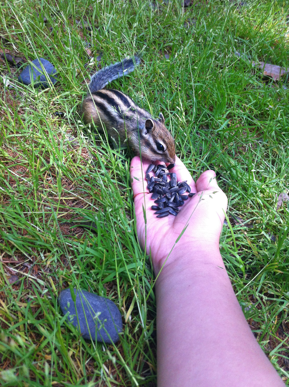 Замена пружин амортизаторов👌 — Mitsubishi Lancer IX, 1,6 л, 2006 года ...