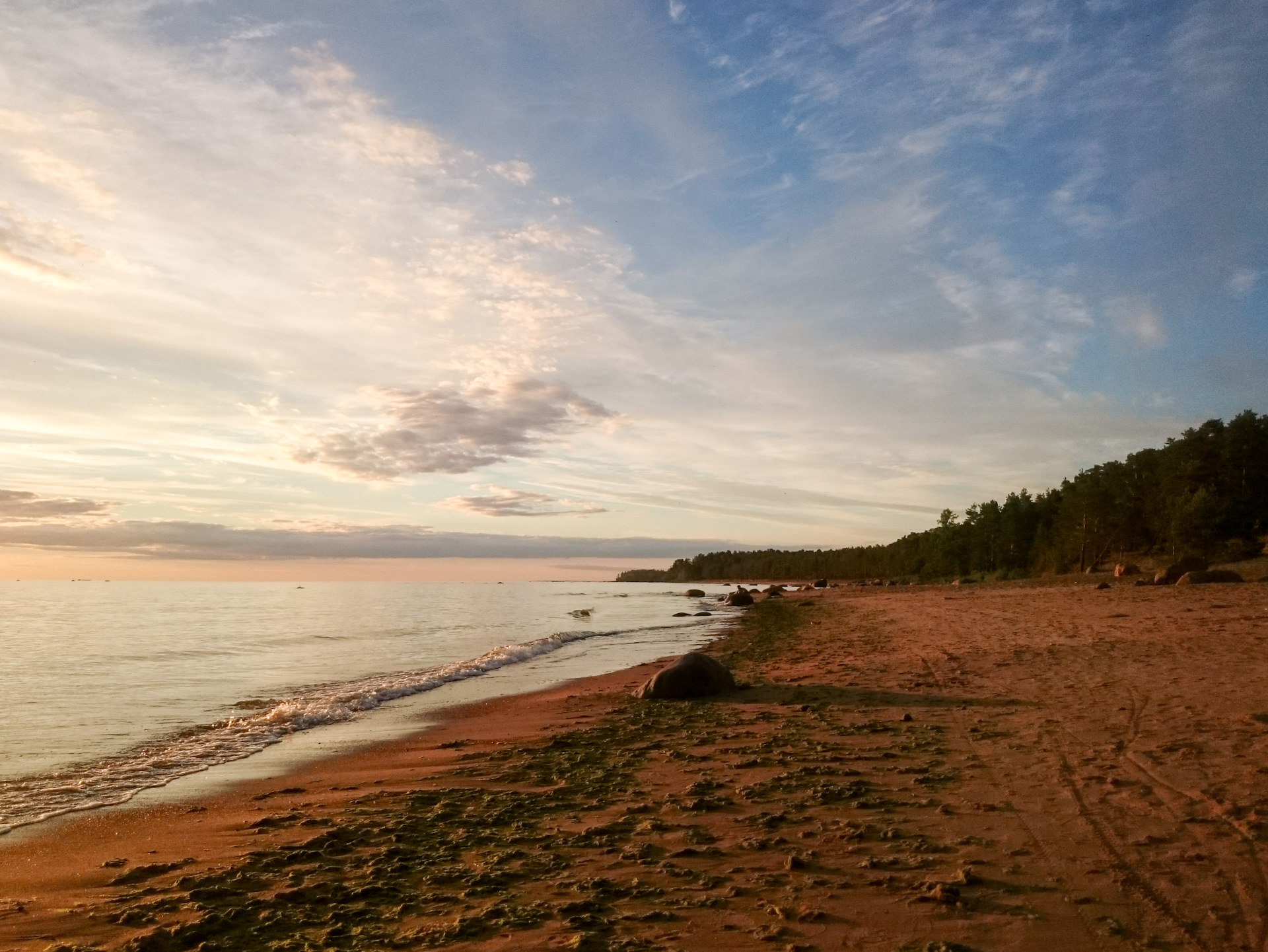 Финский залив песчаный пляж