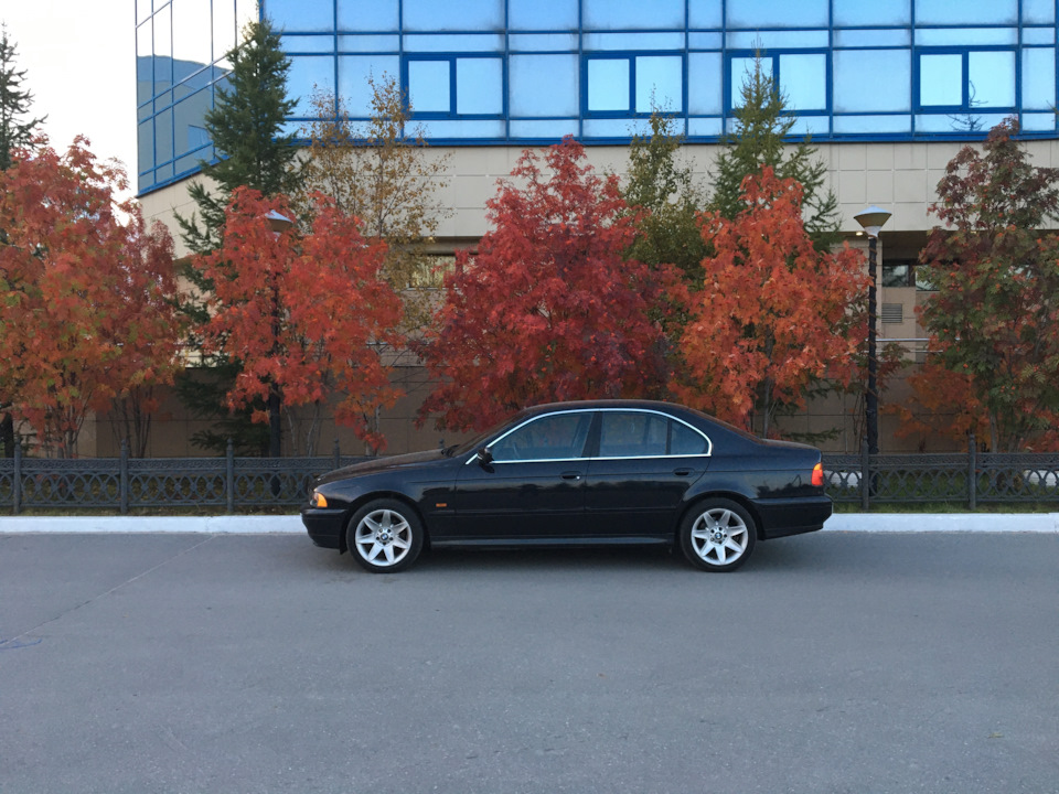 Фото в бортжурнале BMW 5 series (E39)