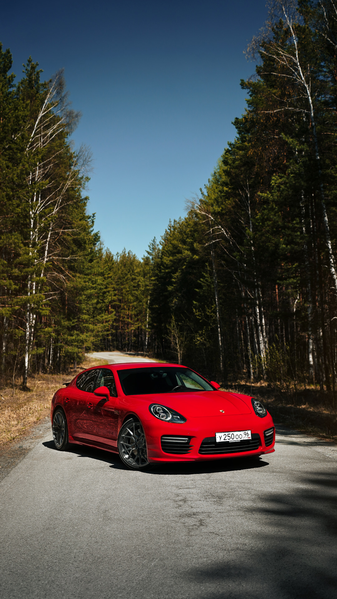 Porsche Panamera 1g