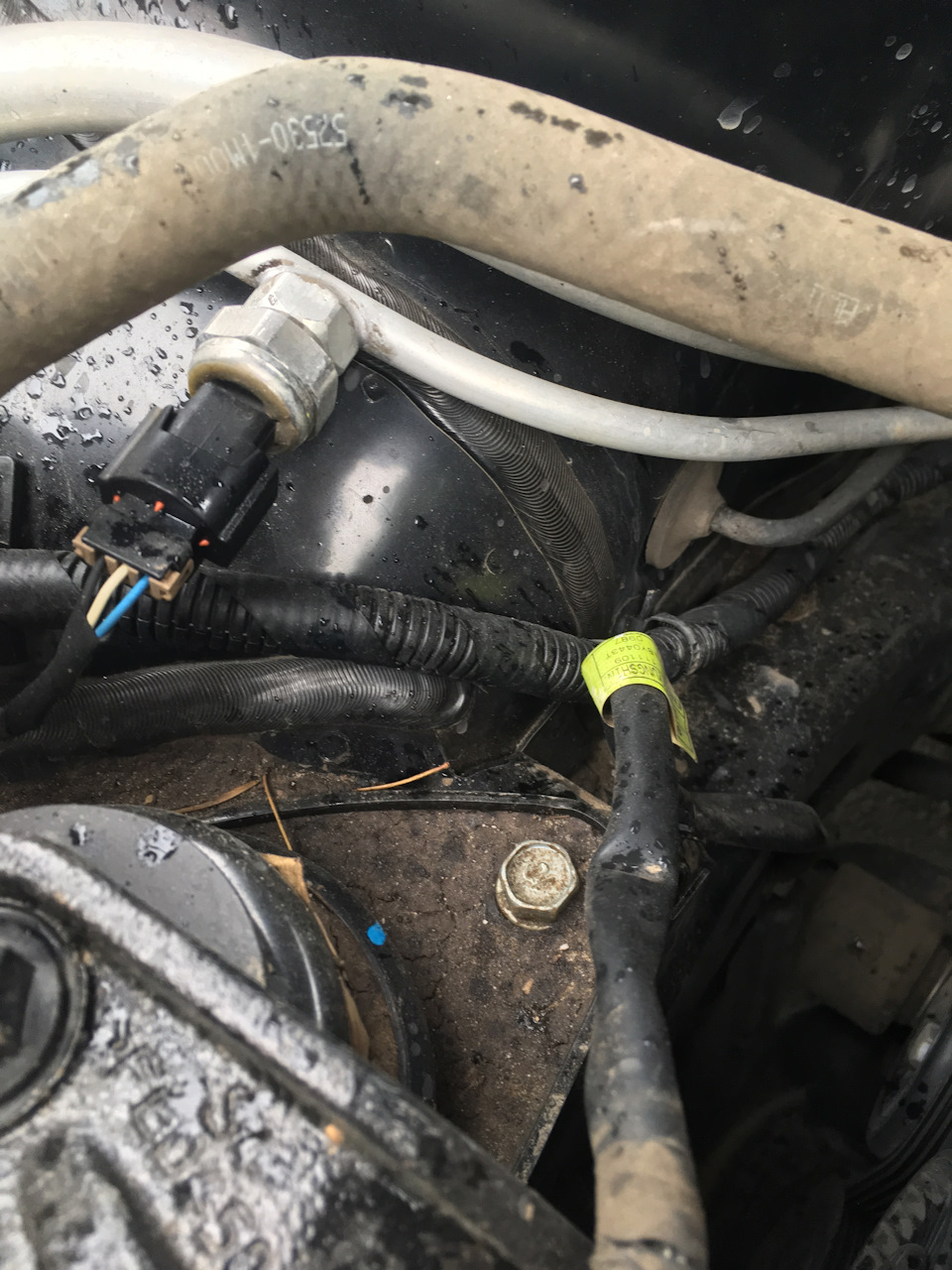 Фото в бортжурнале KIA Cerato (2G)