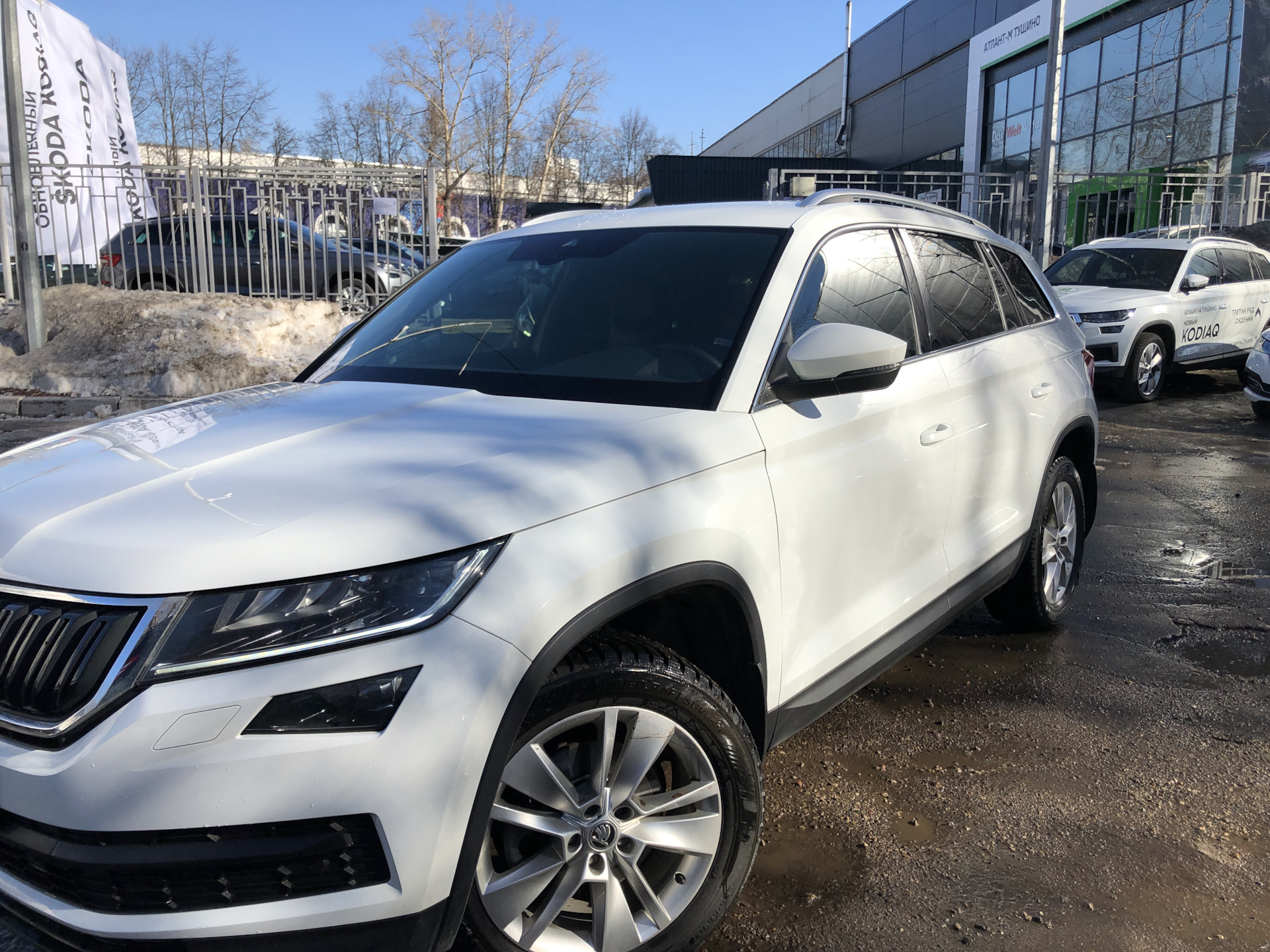 Pure White Skoda Kodiaq