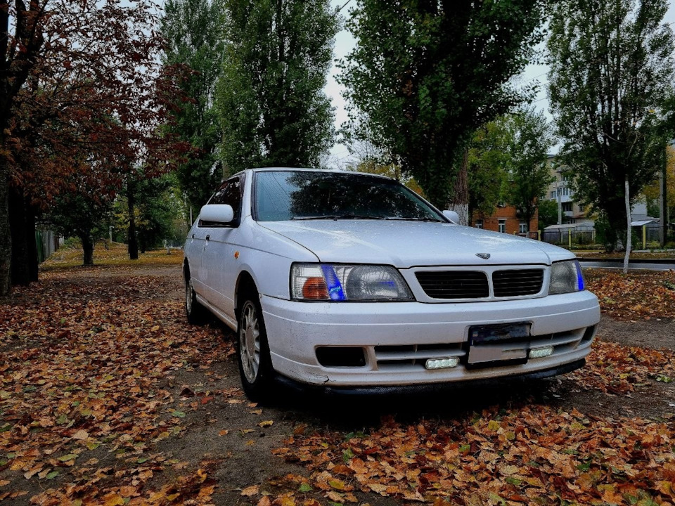 Накатали с птичкой более 4000км за неделю. Что-то мне подсказывает что ...