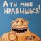 Что лучше лукойл или эльф