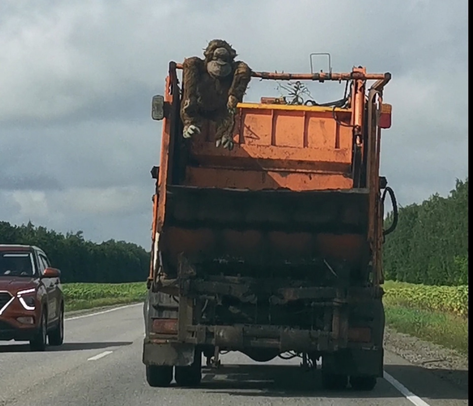 Отпуск длинною в 4628км Липецк — Волгоград — Асбест — Липецк — Skoda  Octavia A4 Mk1, 1,4 л, 2007 года | путешествие | DRIVE2