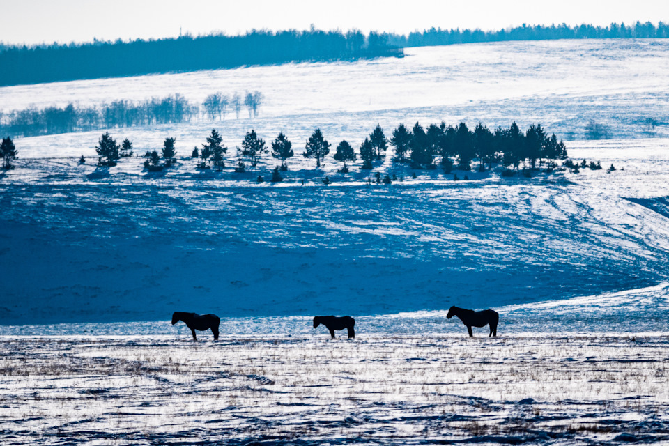 что такое black edition в машинах. NL9XvVVvrgSXwRGesLKm ySOdjg 960. что такое black edition в машинах фото. что такое black edition в машинах-NL9XvVVvrgSXwRGesLKm ySOdjg 960. картинка что такое black edition в машинах. картинка NL9XvVVvrgSXwRGesLKm ySOdjg 960. что такое black edition в машинах. NL9XvVVvrgSXwRGesLKm ySOdjg 960. что такое black edition в машинах фото. что такое black edition в машинах-NL9XvVVvrgSXwRGesLKm ySOdjg 960. картинка что такое black edition в машинах. картинка NL9XvVVvrgSXwRGesLKm ySOdjg 960.