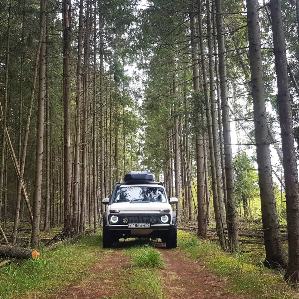 Лесное озеро. Дубль 2. - Lada 4x4 3D, 1,7 л, 2015 года покатушки DRIVE2