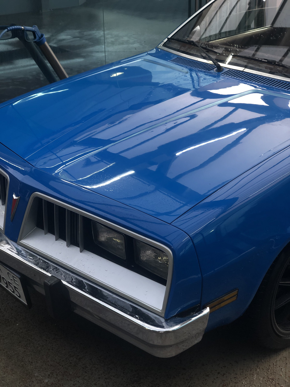 Пару фоток после мойки — Pontiac Sunbird (1G), 3,8 л, 1978 года | мойка ...