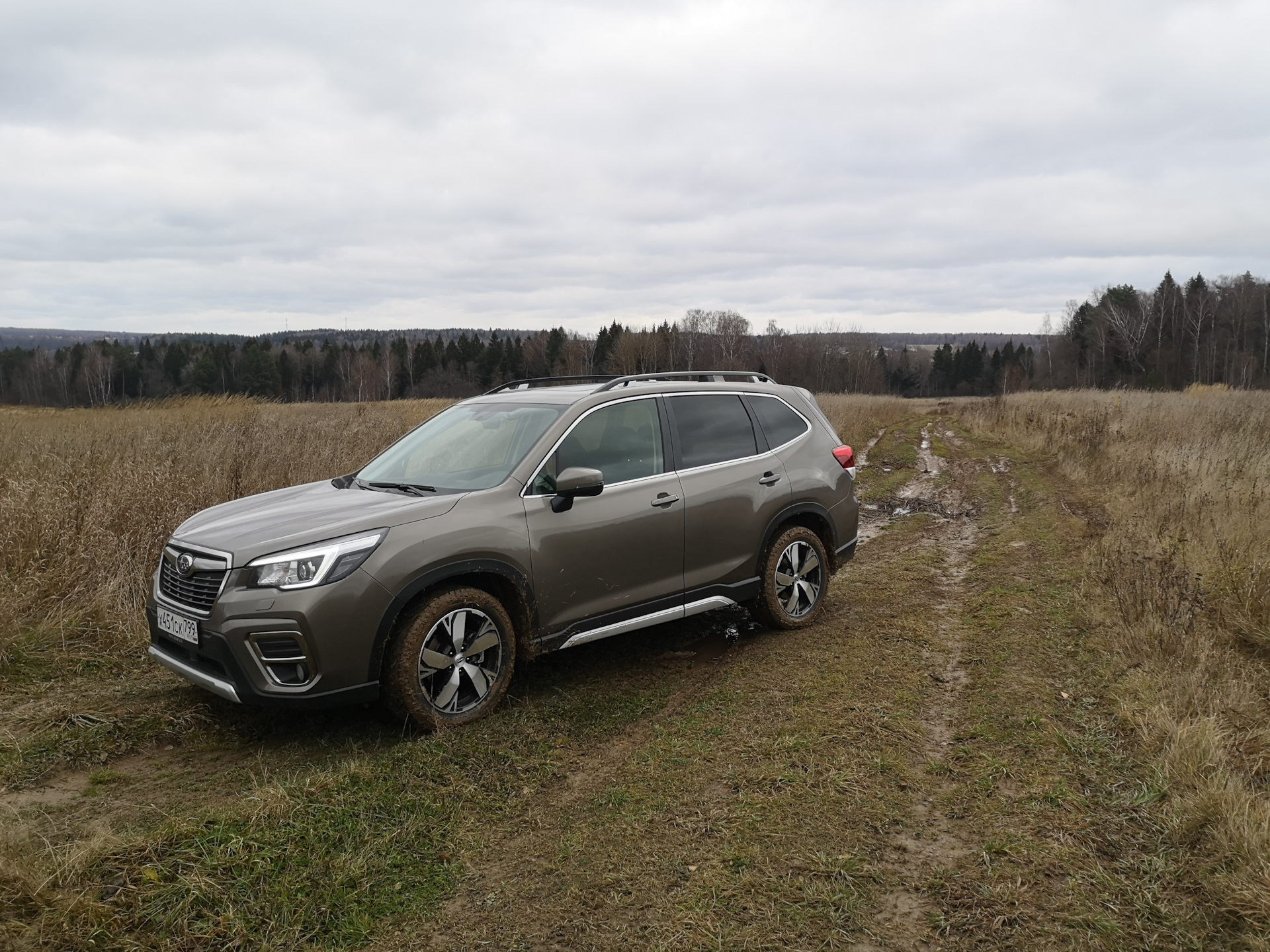 Subaru Forester: Странный японец, который смог удивить даже бывалого  путешественника — «Тест-драйвы» на DRIVE2