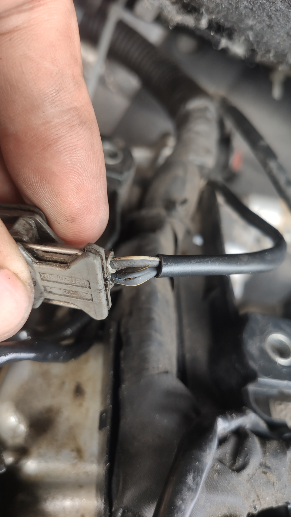 видать проблема была тут — SsangYong Kyron