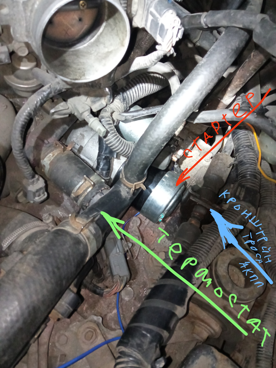 Замена стартера без слива антифриза — Mazda MPV II, 3 л, 2002 года ...