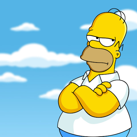 Homer simpson muschi