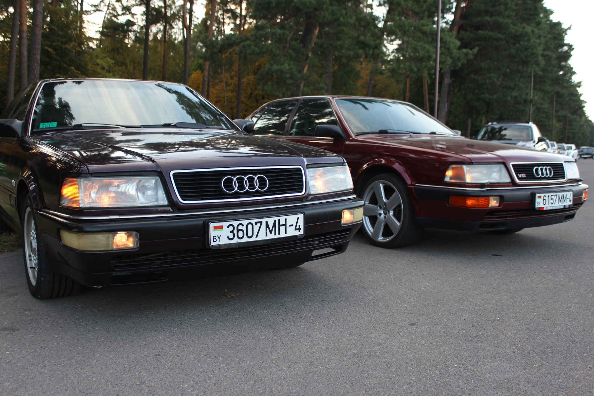 Audi v8 1995. Audi v8 d11 long. Audi v8 4.2. Ауди 44 кузов v8.