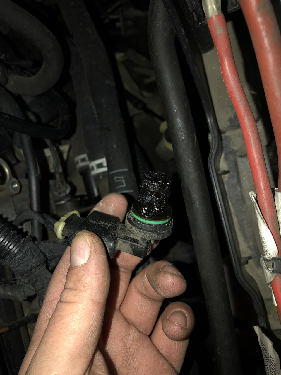 БЖ-3: Очиститель топливной системы Liqui Moly — Toyota Celica (230), 1 ...
