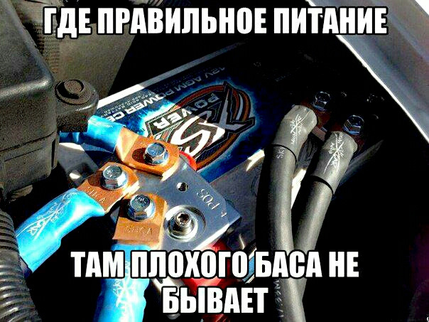 Прикольные картинки с автозвука