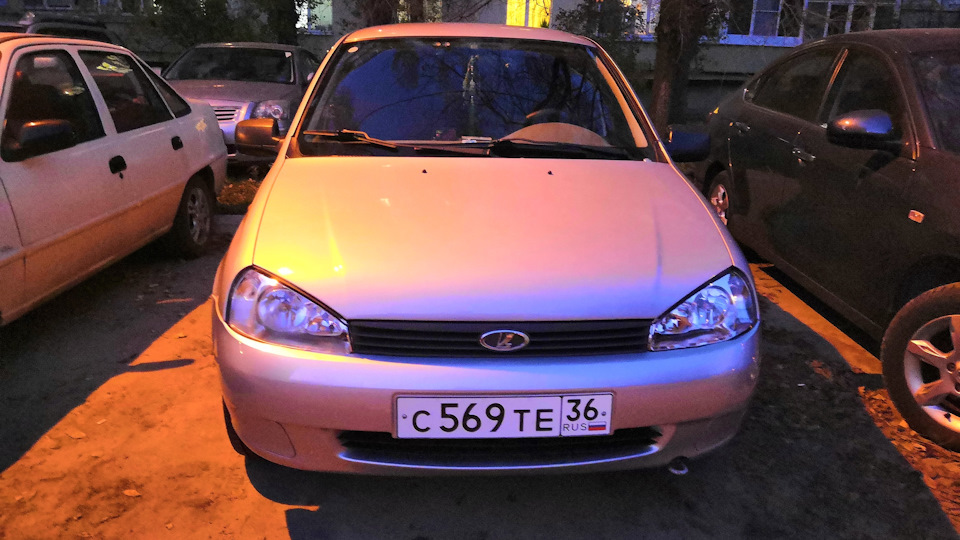 Скрипят задние и передние стойки — Lada Калина седан, 1,6 л, 2011 года ...