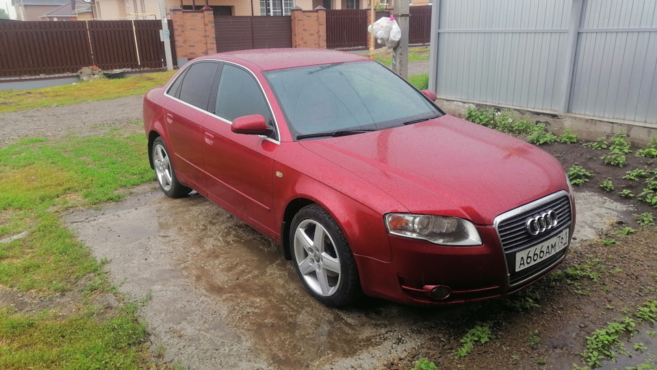 Audi A4 (B7) 2.0 бензиновый 2007 | "Спелая вишня" на DRIVE2