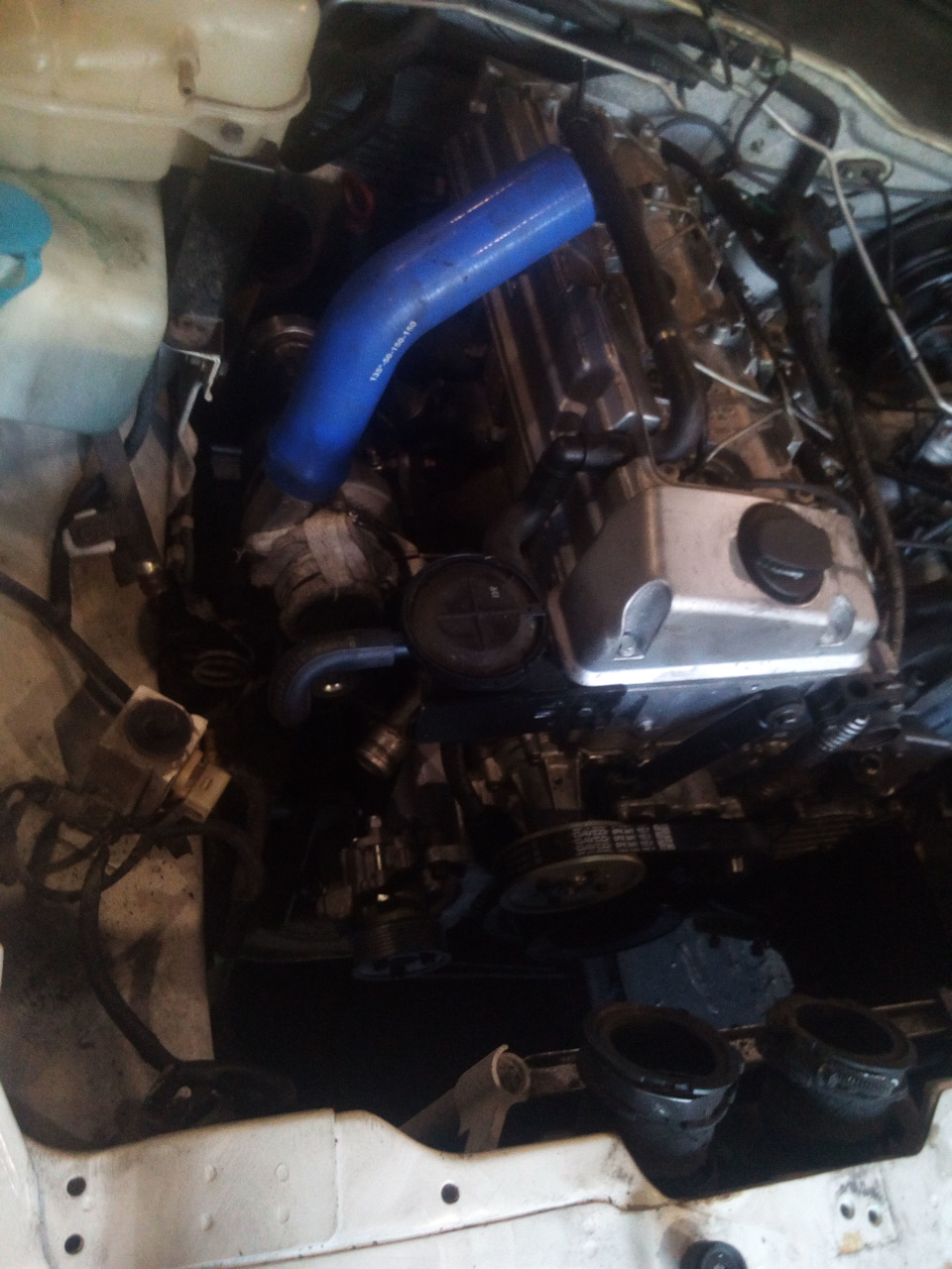 Орехово-АвтоЦентр: отзывы, цены, фото