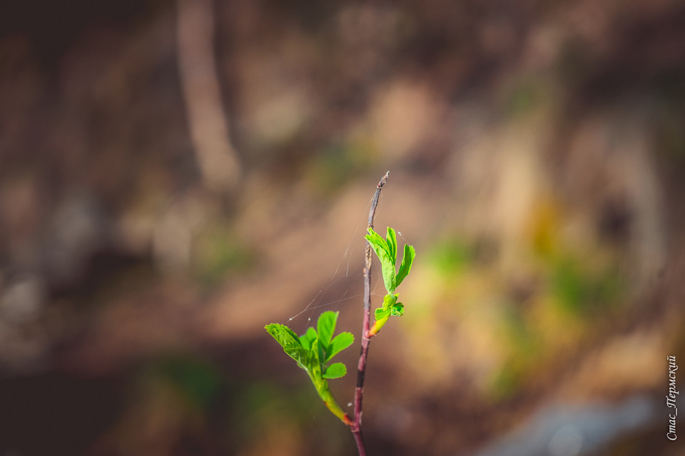 Цифры на протекторе шины что означает - фото