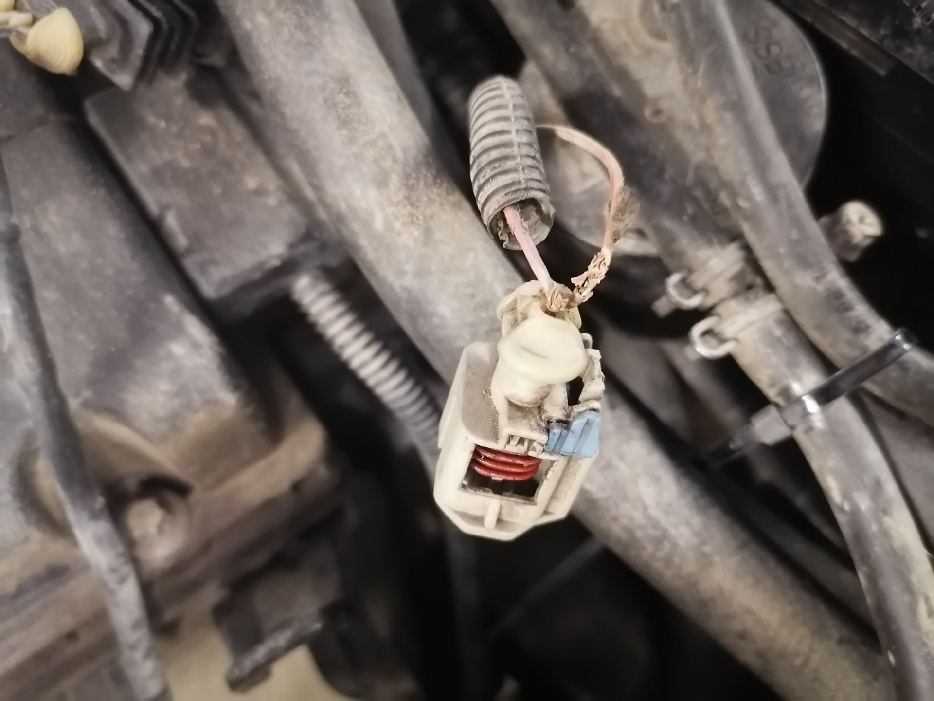 Загорелся ключ, чек погас, чек горел из-за газа. — Opel Zafira B, 1,6 л ...