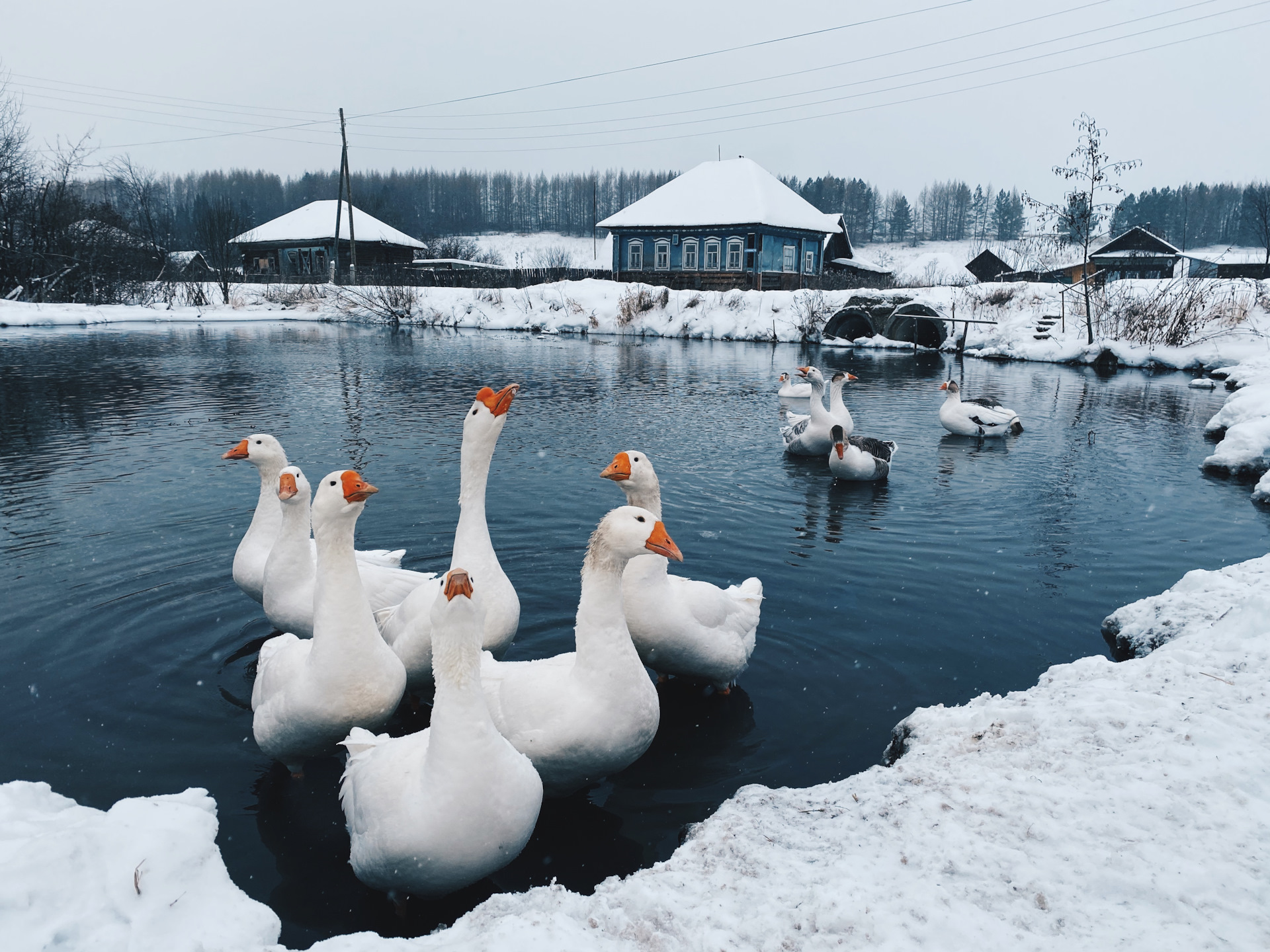 сретение господне белогорский монастырь. пермский край зимой съездить. хохловка музей зимой. гора полюдов камень пермский край. каменный город пермский край гора крестовая.
