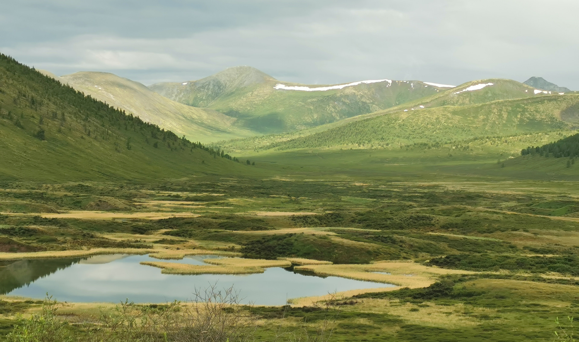 Ногаан хол тожу фото