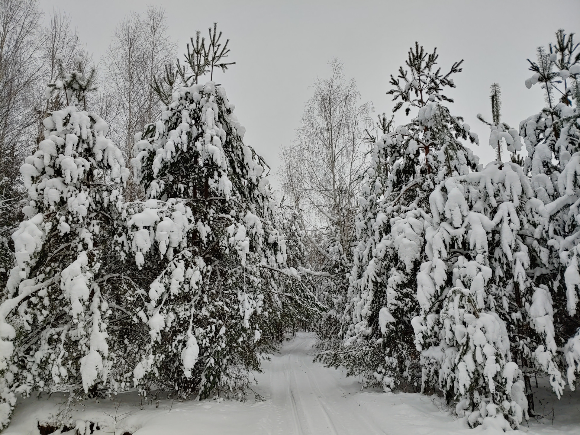 Фото из зимнего леса. Обкатка УАЗ Hanter QD32T — УАЗ 315195 Hunter, 3,2 ...