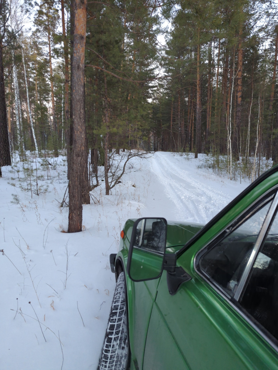 Выезд в лес — Lada 4x4 3D, 1,6 л, 1982 года | покатушки | DRIVE2