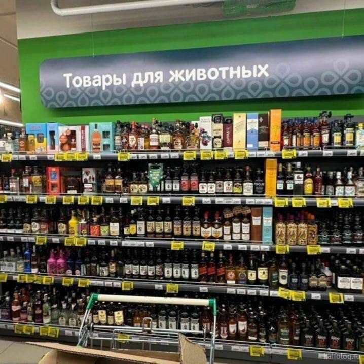 Фотография «Алкоголики -это те же же наркоманы которые составляют ...