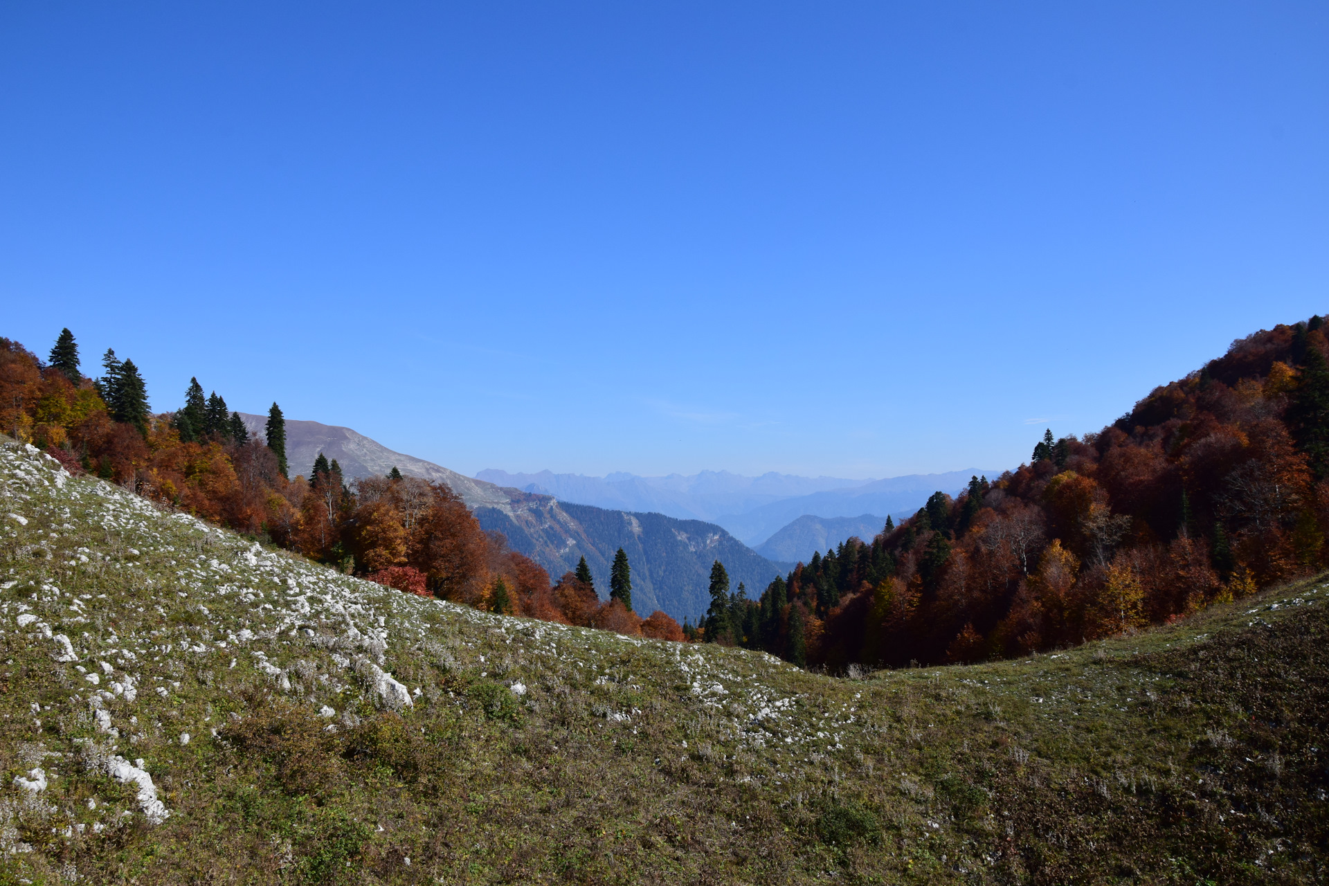 Альпийские Луга в Абхазии осень
