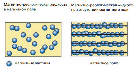 Магнитные частицы