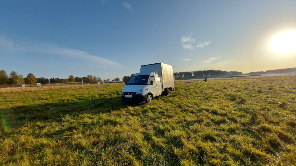 Какаю сигналку поставить на газель? — ГАЗ Газель, 2,9 л, 2010 года ...