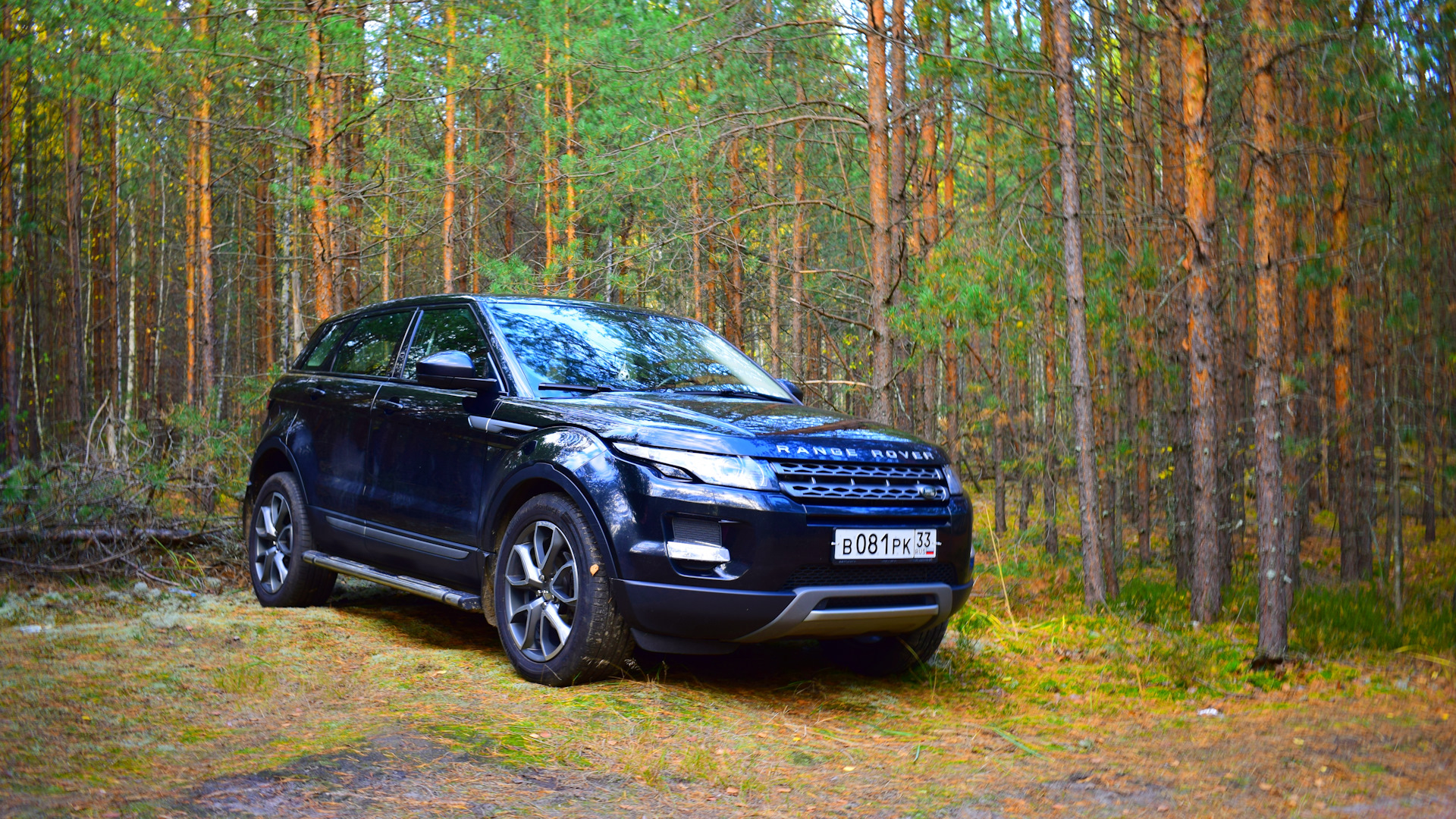 Land Rover Range Rover Evoque 2.2 дизельный 2014 | на DRIVE2