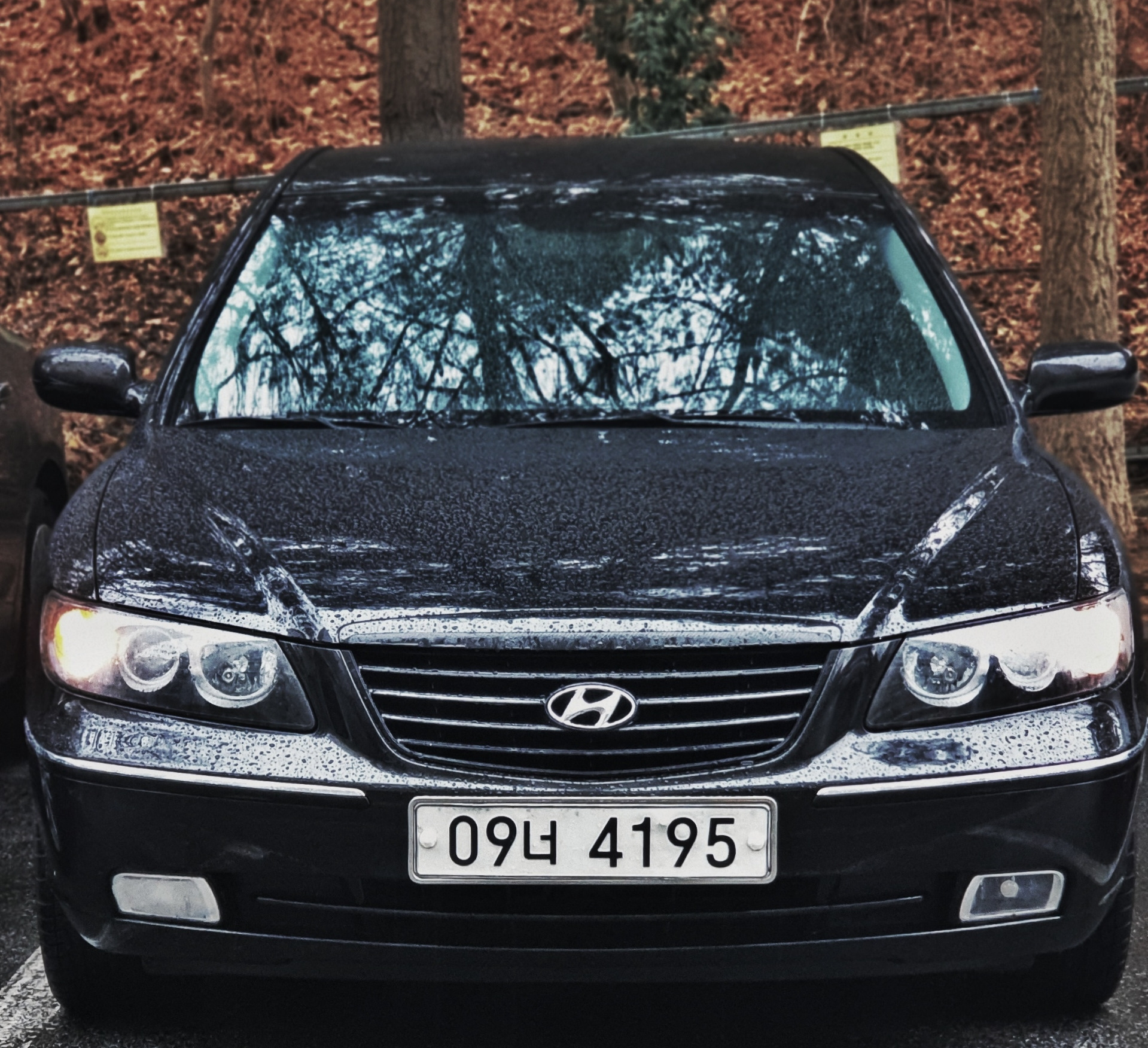 Как снять фару хендай грандер Окрас маски передних фар - Hyundai Grandeur (TG), 2,7 л, 2007 года стайлинг DRIV