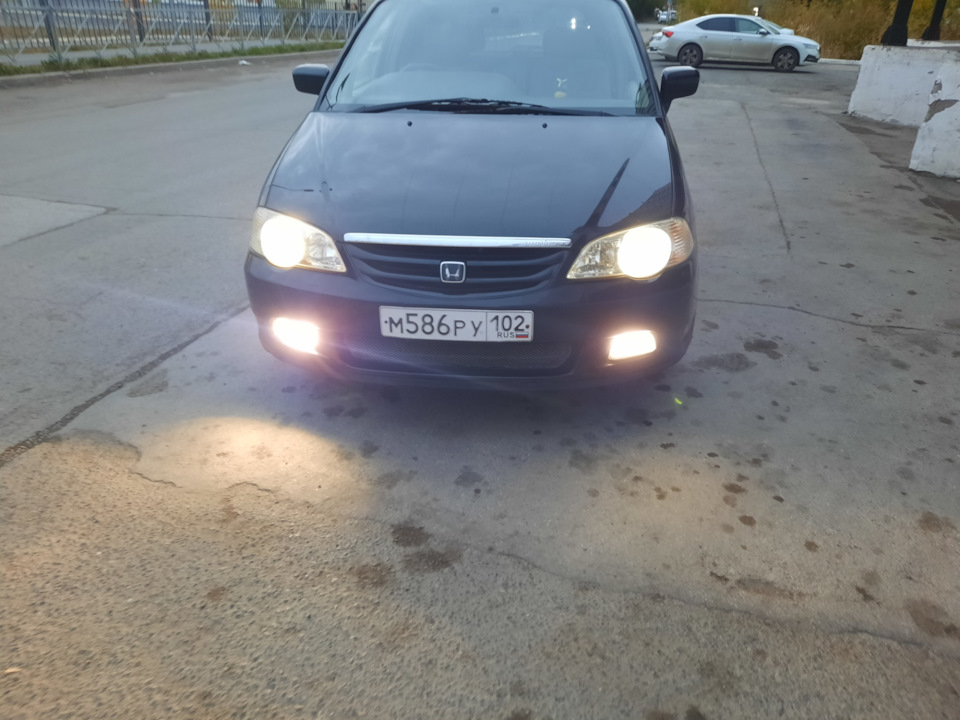 Забрал машину после окраса — Honda Odyssey (2G), 2,3 л, 2001 года ...