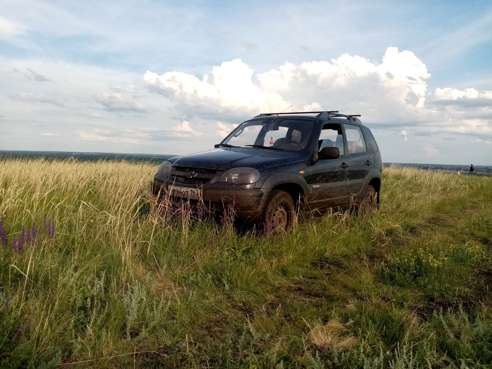 Шевроле нива плохая машина. Chevrolet Niva. Нива тонированная. Диагностика Нива Шевроле. Нива Шевроле 46 регион в поле.