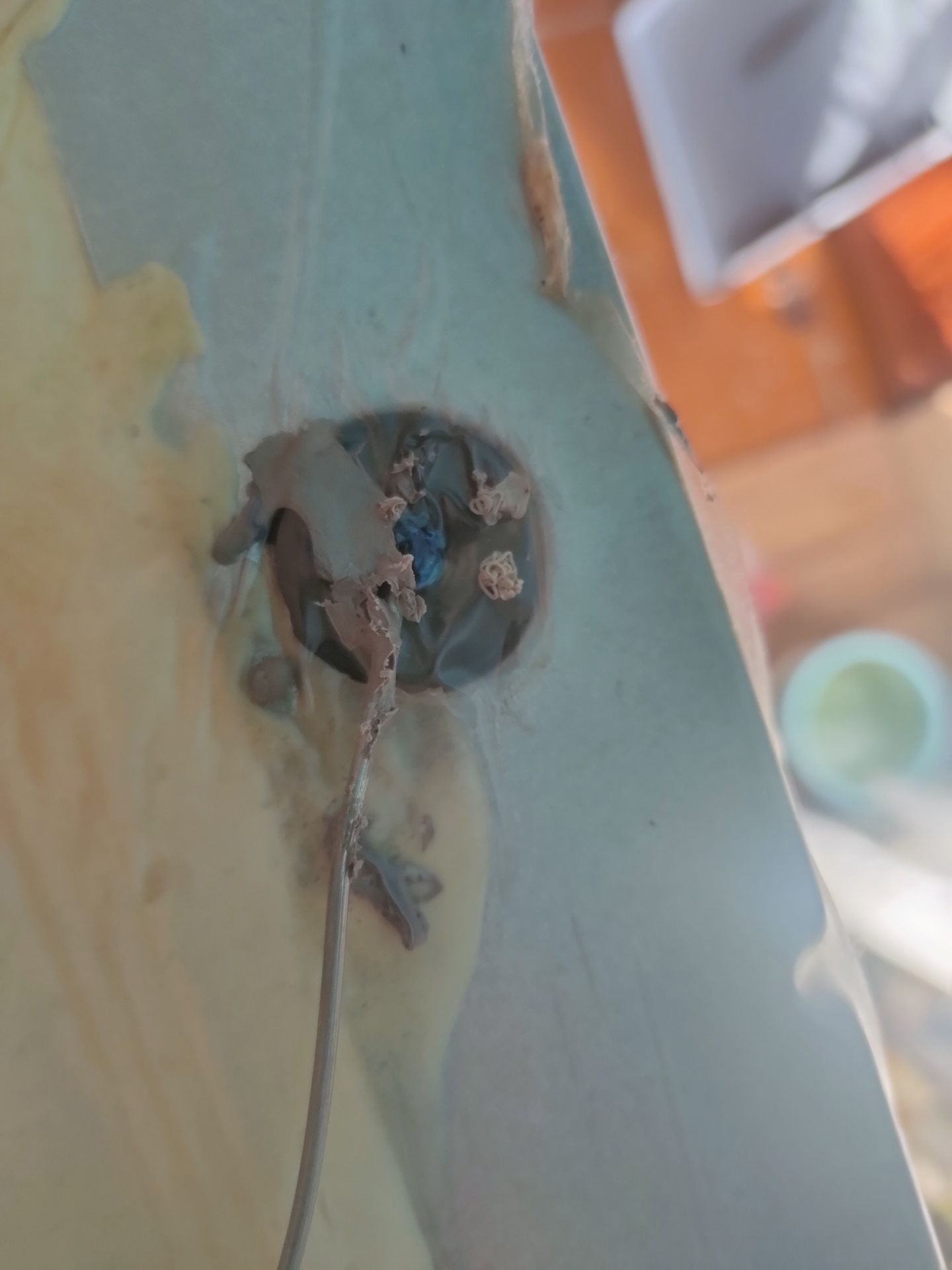 Замена термостата в холодильнике INDESIT. — Сообщество «Сделай Сам» на ...