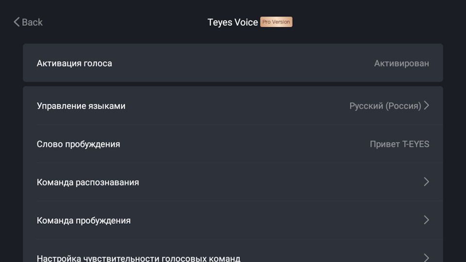 Teyes Voice активация. Teyes cc3 приложение Teyes Voice не отвечает. Podofo Voice активация код активации.