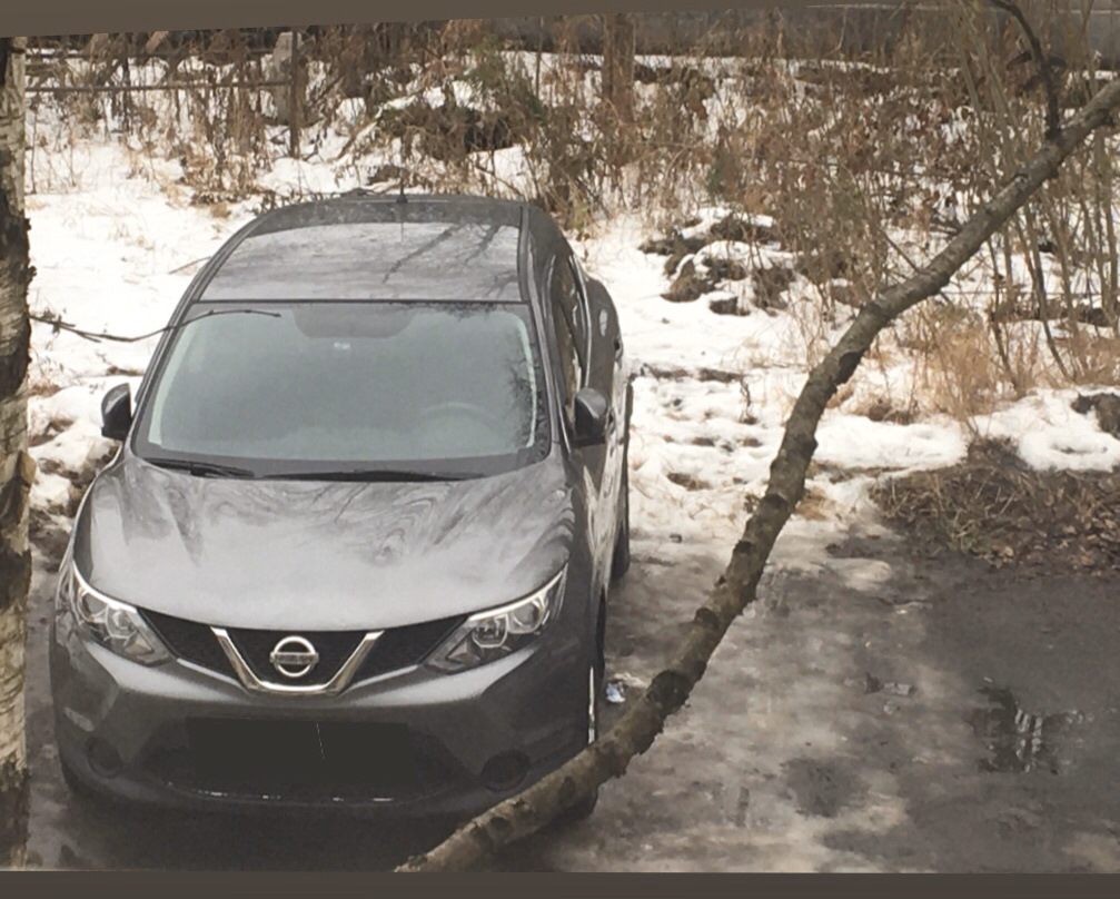 NISSAN QASHQAI J11 установка ПТФ — Nissan Qashqai (2G), 2 л, 2016 года ...