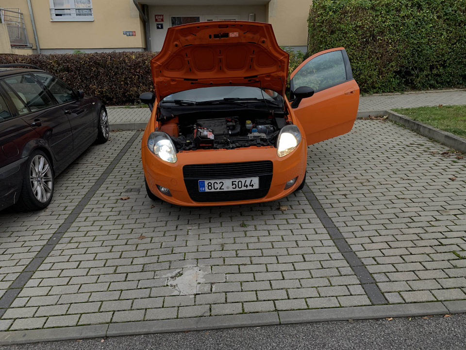 Слева линза, справа галоген — FIAT Grande Punto